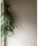 🌿の「インテリア(インテリア)」