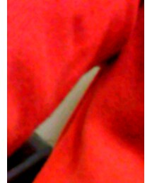 TOMMY HILFIGER
 | ニット/セーター