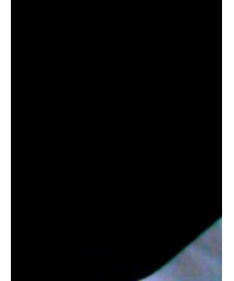 UFC
 | Tシャツ/カットソー