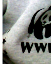 World Wildlife Fund | パーカー