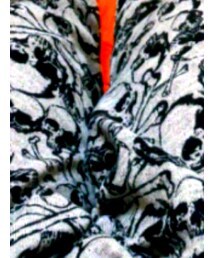 Plein Beaute | スウェット