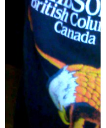 Florida | スウェット