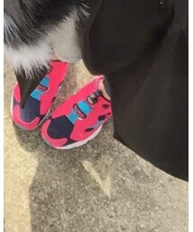 Reebok | スニーカー