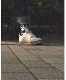 etnies | スニーカー