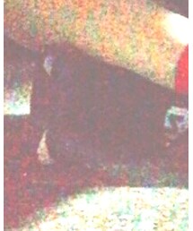 NEW BALANCE | スニーカー