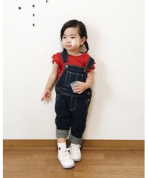 Champion | ソックス/靴下