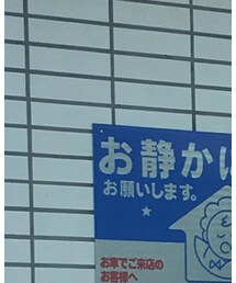 Ray-Ban | サングラス