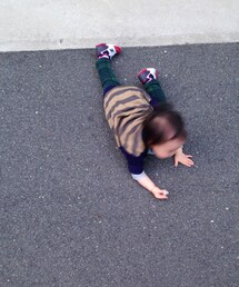 * | 今日おろしたのに寝そべるかね。(その他)