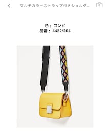ZARA | ショルダーバッグ