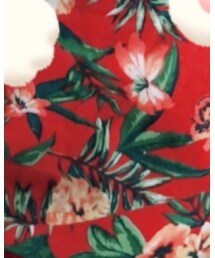 Birthday | シャツ/ブラウス