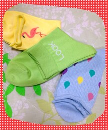 靴下屋 | 靴下(ソックス/靴下)