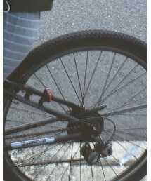 靴下屋 | ソックス/靴下