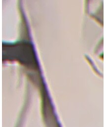 知らない | テーラードジャケット