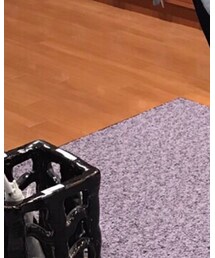 RAGEBLUE | スタジャン