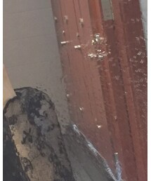 peacebird | ワンピース