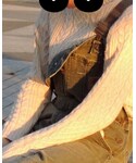 Carhartt(カーハート)の「オールインワン・サロペット(サロペット/オーバーオール)」