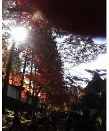 京都にて | その他