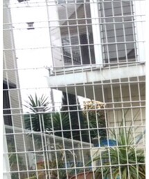 UNIQLO | カーディガン/ボレロ