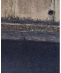 Lui's | シャツ/ブラウス