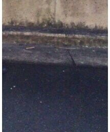 TOMORROWLAND  | その他パンツ