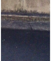 ASICS | スニーカー