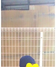 WEGO | ニットキャップ/ビーニー