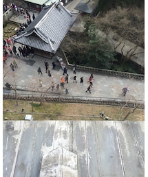 清水寺の舞台から下を写す | 福袋/福箱