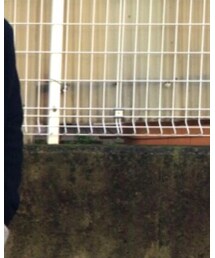 Lui's | シャツ/ブラウス