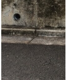 BURBERRY | Tシャツ/カットソー