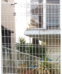 mean | サングラス