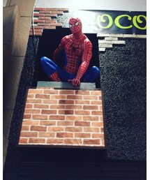 突如、スパイダーマンが😉 | 福袋/福箱