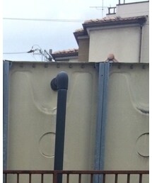 H&M | シャツ/ブラウス