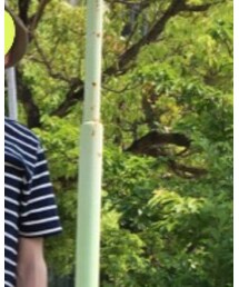 BURGUS PLUS | Tシャツ/カットソー