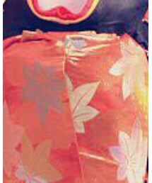 体験舞子さん | その他