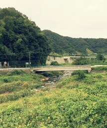 森 | 私の暮らす街は自然がたくさんです(^^)(その他)