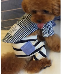 Taylor83 | その他パンツ