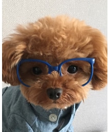 no brand | メガネ