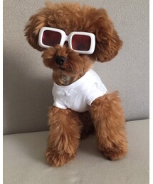 Taylor83 sample | Tシャツ/カットソー