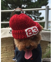 Taylor83 SAMPLE | ニットキャップ/ビーニー