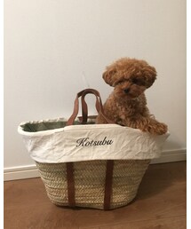 Taylor83 | わんちゃんやねこちゃん用のかごキャリーバッグです。上にメッシュの巾着が付いているのでお出かけに便利。ペットのお名前やお好きな文字を入れて完成する世界でひとつのキャリーバッグです。(スーツケース/キャリーバッグ)