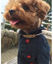 no brand | 人間用のゴールドフェザーブレス。わんこだとネックレスにぴったり（笑）(ブレスレット)