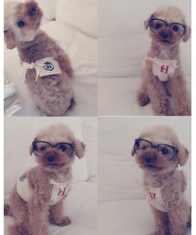 Taylor83 | エプロン