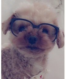 no brand | メガネ