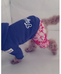 Taylor83 | その他パンツ