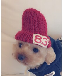 Taylor83 | ニットキャップ/ビーニー