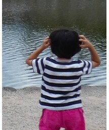 PETIT BATEAU | Tシャツ/カットソー