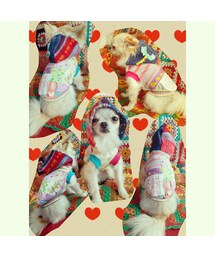 愛犬ゆめ★ | トップス