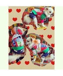 愛犬ゆめ★自作ドッグウェア | その他