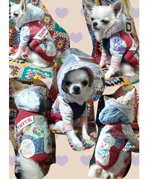 愛犬ゆめさん。お手製パーカー着用★ | トップス