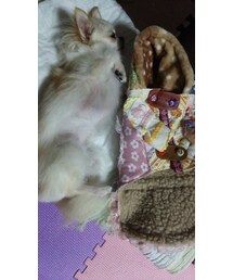 お誕生日プレゼントあたらしいコートつくってあげた❤ | その他